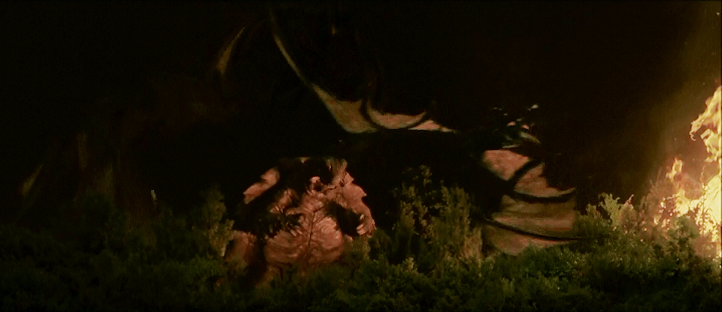 Gamera vs Gyaos, Round 4
