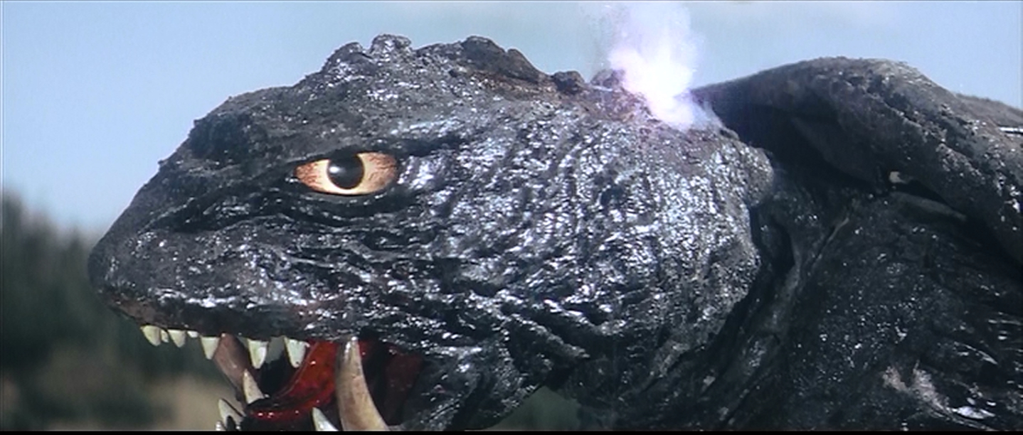 Gamera makes his will save.