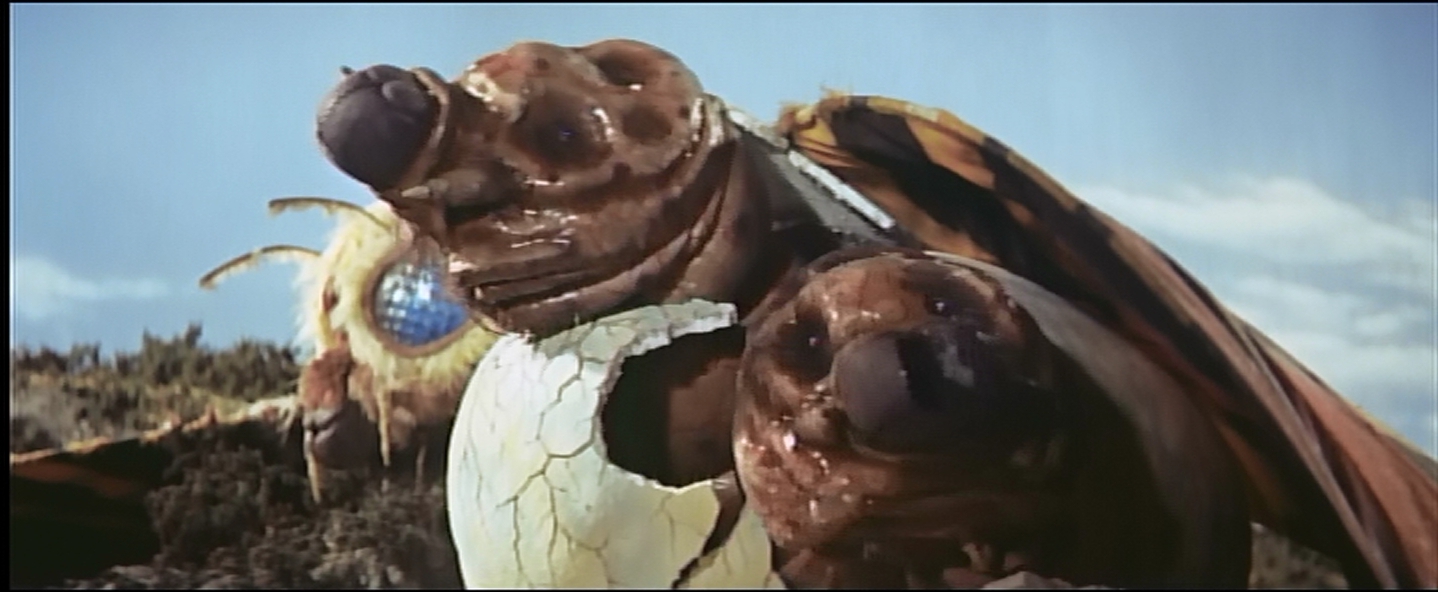 With a nearly Shakespearian sense of tragedy, the larvae hatch from under dead Mothra's giant wing.
